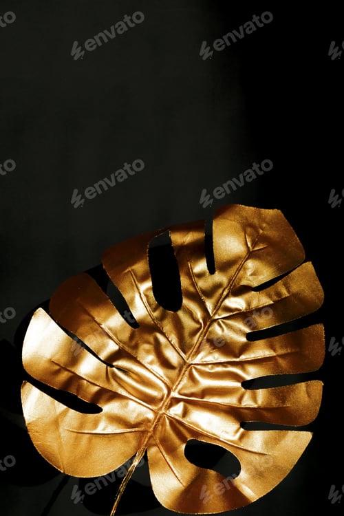 Preview: Gold coloured monstera leaf on black background. Stylish design art wallpaper