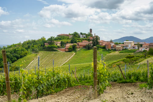 Preview: Landscape on the Tortona hills at springtime. View of Monleale