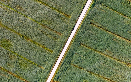 Preview: Aerial view of a field dedicated to soybean cultivation