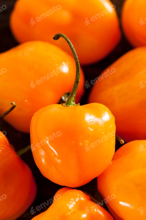 Preview: Organic Hot and Spicy Habanero Peppers