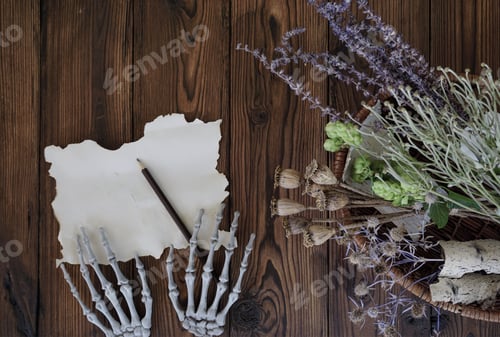 Preview: Skeleton paws write down a magic potion recipe