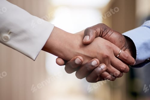 Preview: Were so glad to finally meet you. Shot of two businesspeople shaking hands in greeting.