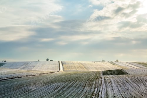 Preview: Sunrise over winter green field. Rural landscape