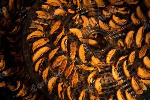 Preview: sunlight illuminates dried apples on a round tray