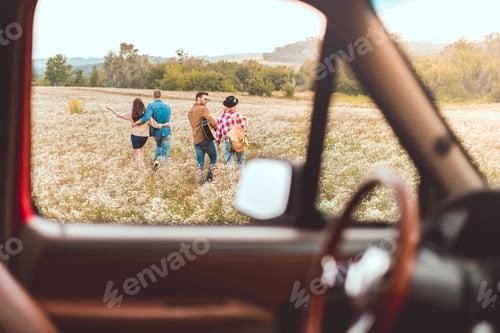 Preview: view from car at group of happy young friends walking by flower field during car trip