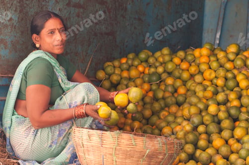 Preview: Woman sorting orange for packaging at farmer's market