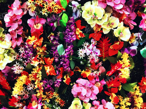 Preview: Flower arrangement background