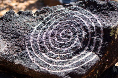 Preview: Close up of a rock with a spiral circle petroglyph in the Petroglyph National Monument