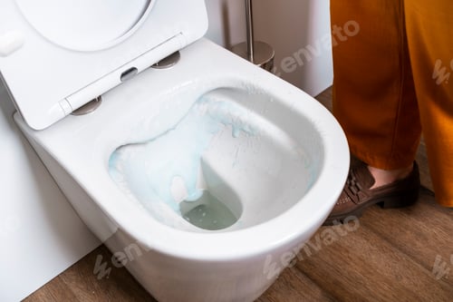 Preview: Blue disinfectant foam inside white ceramic toilet bowl. Professional antimicrobial chemical agent