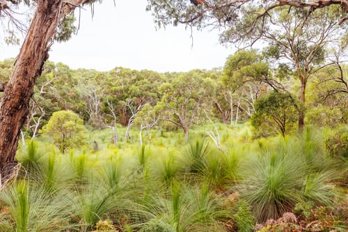 Preview: Two Bays Walking Track in Australia