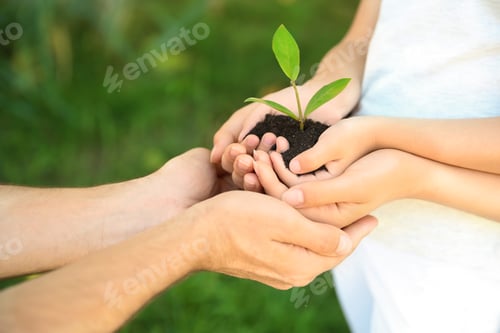 Preview: Family holding soil with green plant in hands on blurred background