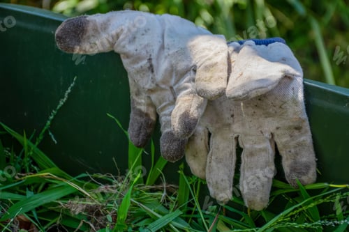 Preview: Green bin container filled with garden waste. Dirty gardening gloves