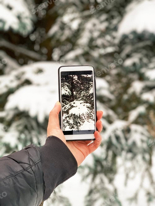 Preview: Taking a photo of a snow covered fir tree using mobile phone