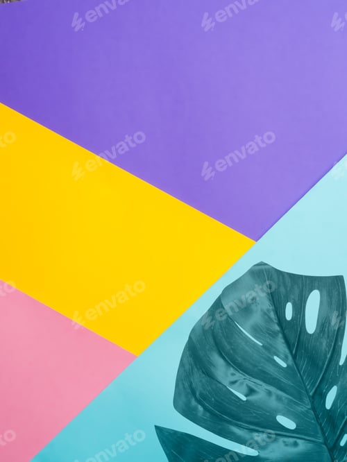 Preview: Colored paper background with tropical leaf