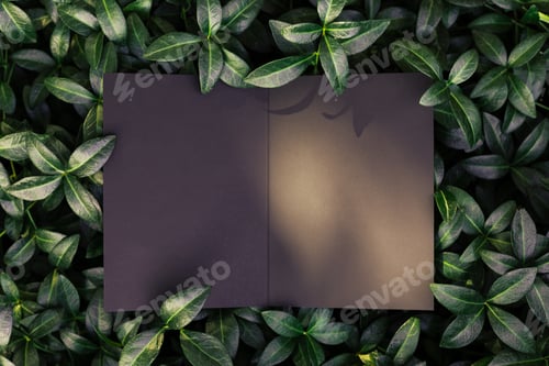 Preview: creative layout composition frame made of green periwinkle leaves with beautiful texture with black