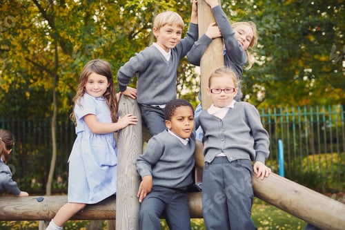 Preview: Group of schoolchildren enjoying playtime outdoors on a wooden structure