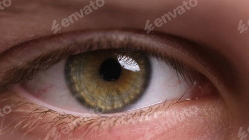Preview: Kid'S Green Pupil Of Wide Opened Eye, Close Up Shoot
