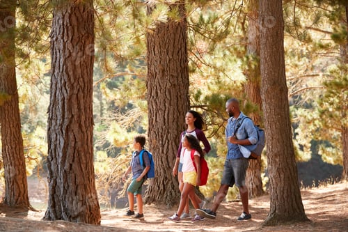 Preview: Family On Hiking Adventure Through Woods By Lake