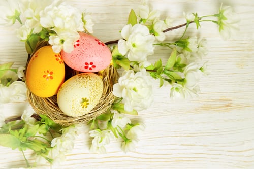 Preview: Colorful easter egg in nest