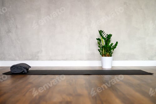 Preview: minimal interior of the room for yoga, a rubber mat and a plant on the background of a gray wall