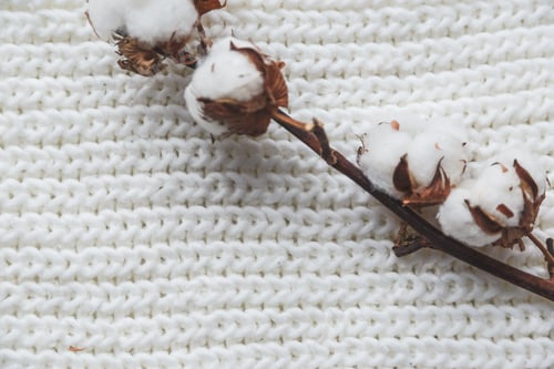 Preview: Cotton Flower with knitted cap and scarf, flat lay on marble background, winter style