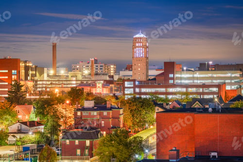 Preview: Ann Arbor, Michigan, USA Town Skyline
