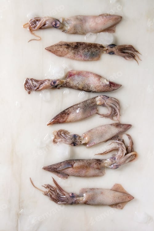 Preview: Raw squids calamari