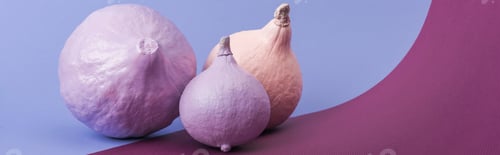 Preview: panoramic shot of pastel colorful painted pumpkins on violet and purple background