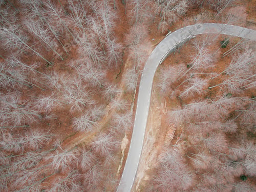Preview: Aerial view of an empty road in the forest