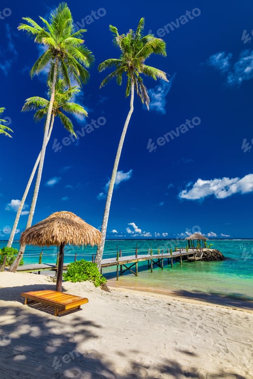 Preview: Tropical beach with coconut palm trees and jetty, South Pacific