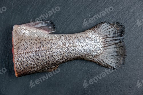 Preview: Overhead view of fresh raw fish on dark color tray with free space