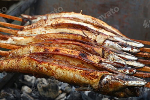 Preview: Cooking bonito mackerel fish on grill