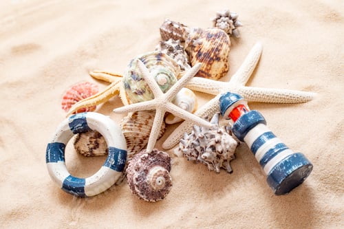 Preview: Starfishes, pearls, and amazing seashells close up