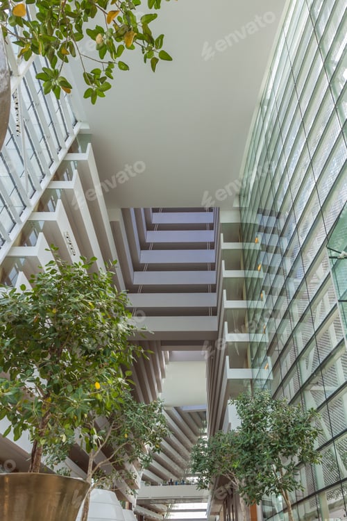 Preview: the interior of the shopping center with plants