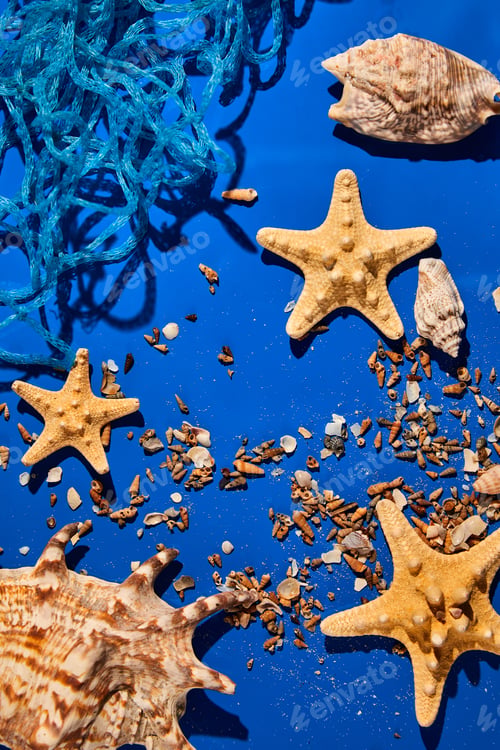 Preview: Flat lay background with starfish, seashells on blue water texture with sunlight