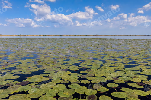 Preview: Danube Delta, Romania