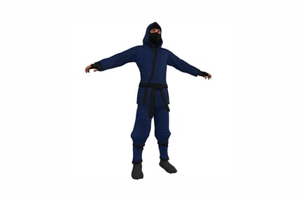 Preview: Figure ninja in extended pose