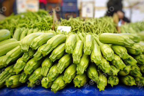 Preview: Vegetable Pumpkin