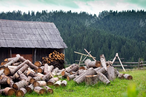 Preview: carpathians - house and firewood in the foreground