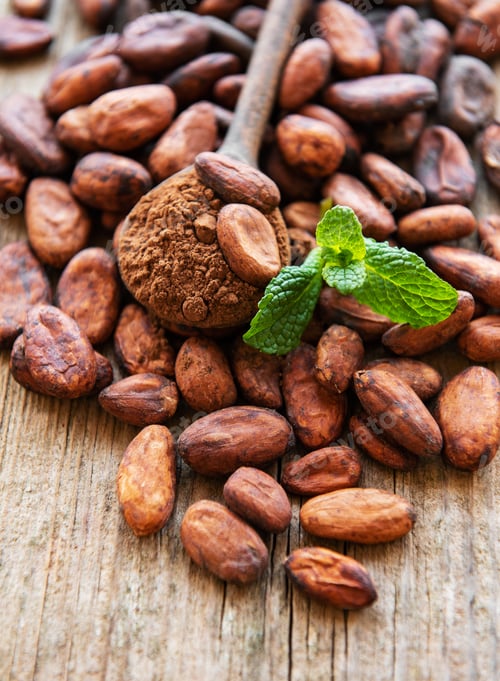 Preview: Cocoa powder and beans
