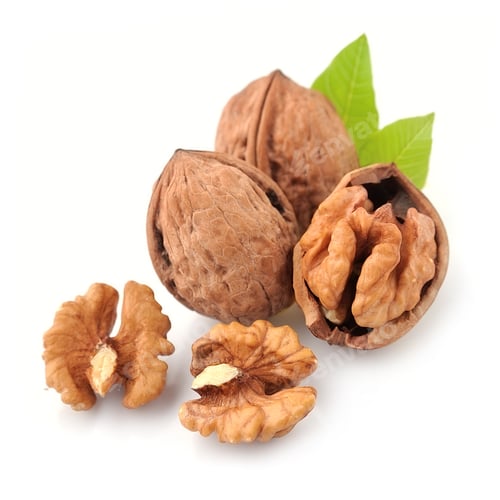 Preview: Walnuts with leaves