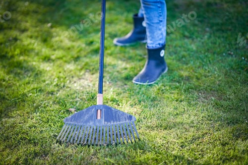 Preview: Picture of grass rake in the garden