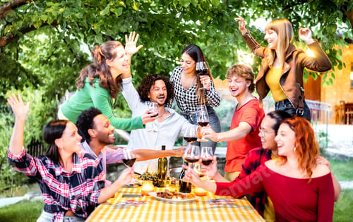 Preview: Friends having fun out side toasting red wine at garden party