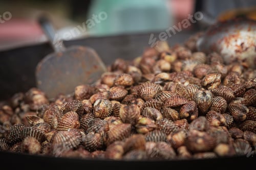 Preview: Cooked Blood Cockles on the plate, close-up.