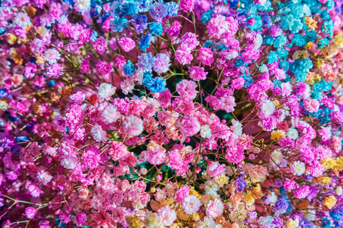 Preview: colorful autumn flowers, idea for a card or invitation, bright juicy colors