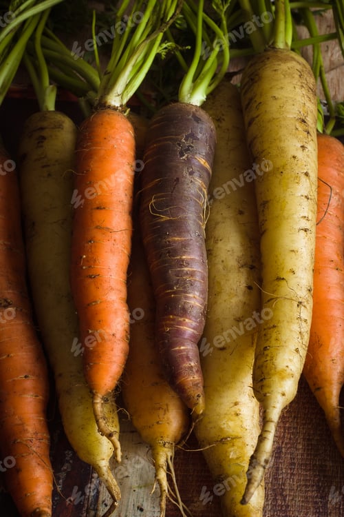 Preview: Colorful Heirloom Carrots