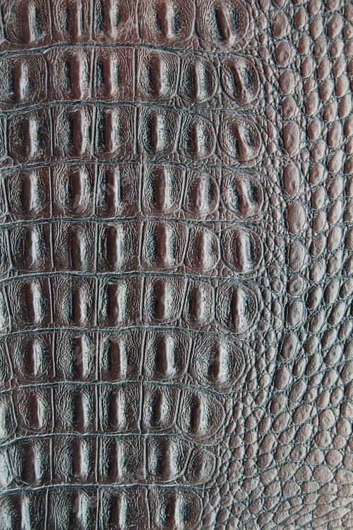 Brown Crocodile Leather Textured Background Close Up
