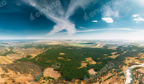 Preview: Aerial View Of Deforestation Area Landscape. Green Pine Forest In Deforestation Zone. Top View Of