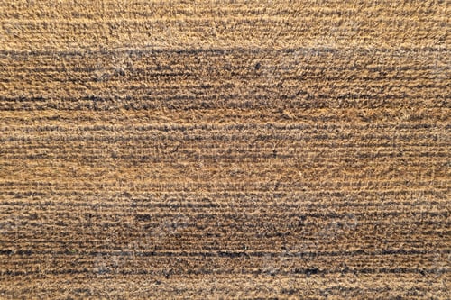 Preview: Aerial view of a freshly harvested wheat field, natural earth textures.