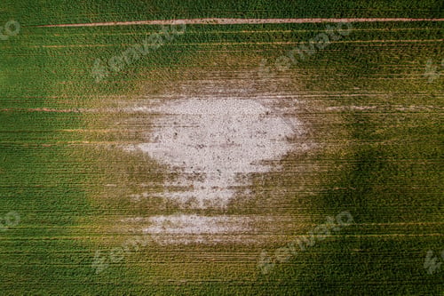 Preview: Mudcracks in soil after the flood in cultivated wheat field, aerial shot from drone pov